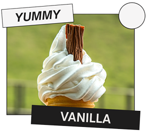 Online Vanila Cake Delivery - Flavours Guru